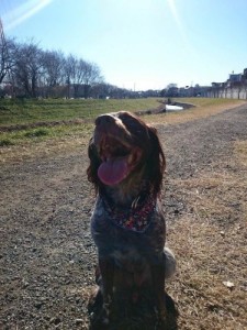 received_1580763682140072.jpeg[1]